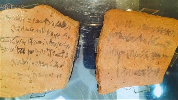  شقافات وبطاقة مومياء