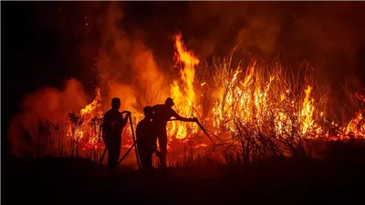 مكافحة من رجال الإطفاء لاحتواء ثلاثة حرائق غابات في غرب تركيا