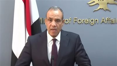 وزير الخارجية: من غير المقبول أن يكون تنفيذ حل الدولتين مرهونا لفيتو في مجلس الأمن الدولي