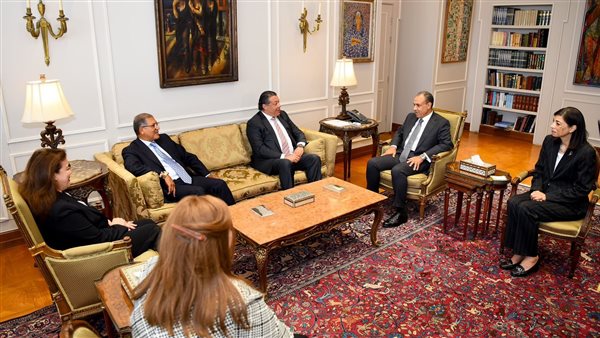 وزير الخارجية ووفد