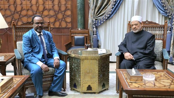 الدكتور أحمد الطيب