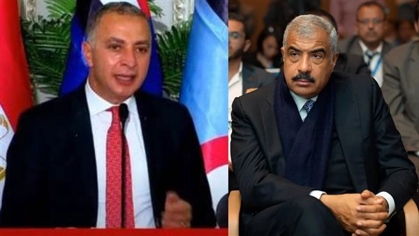 هشام طلعت مصطفى وأحمد