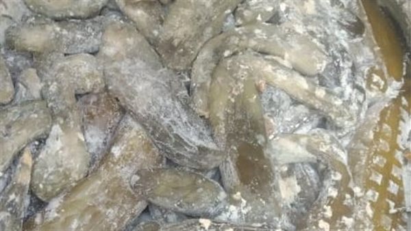 مخلل غير صالح للاستهلاك