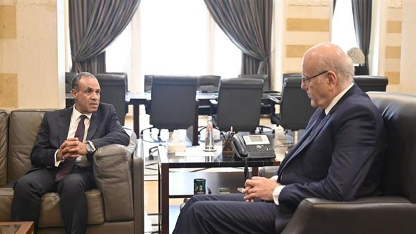 لقاء وزير الخارجية