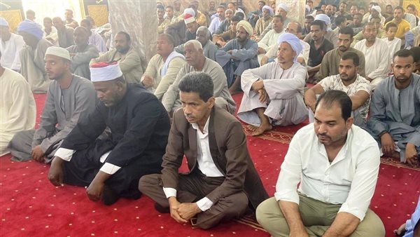 رئيس مدينة إدفو 