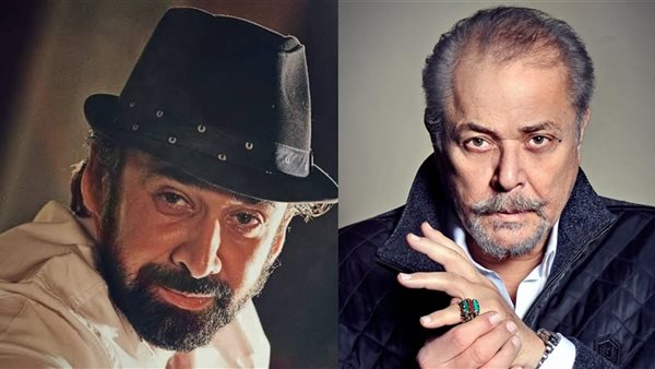 محمود عبد العزيز