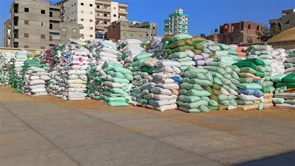 توريد القمح 