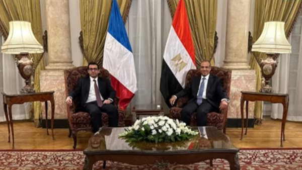 وزير الخارجية ونظيره