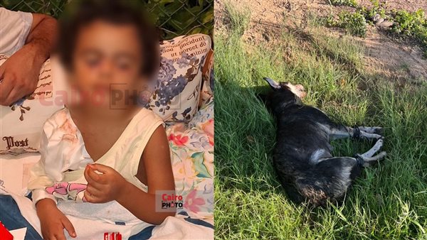 الطفل زين صاحب واقعة