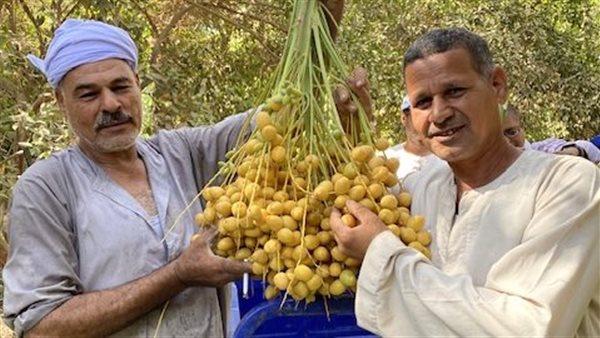 فرحة المزارعين بموسم