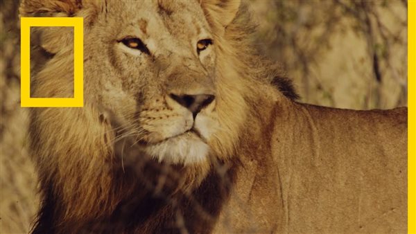 تردد قناة ناشيونال