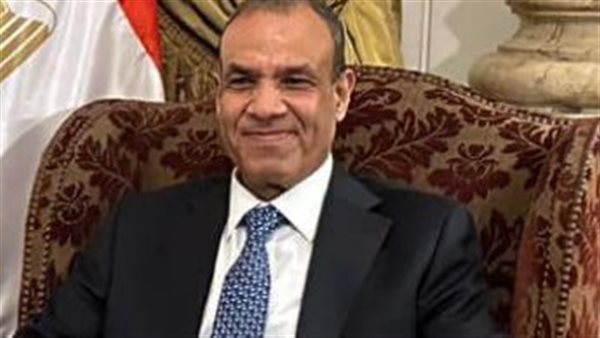 بدر عبد العاطي وزير