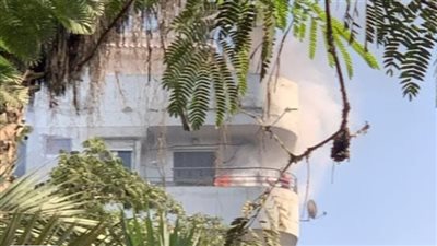 السيطرة على حريق بلكونة امتد لأشجار حديقة الحيوانات| بث مباشر 