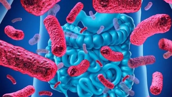 الميكروبيوم البشري