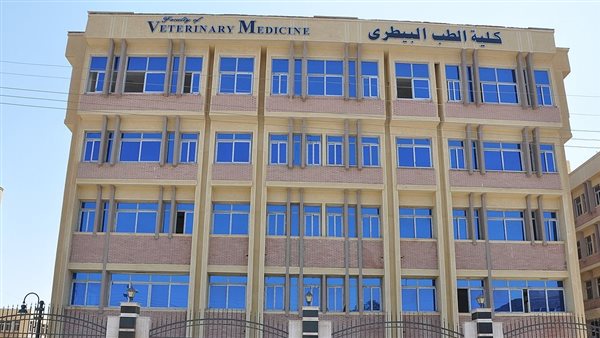 تنسيق طب بيطري