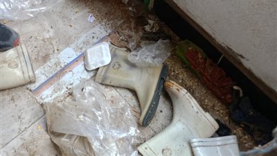 غلق 74 منشأة غذائية دون ترخيص بالدقهلية