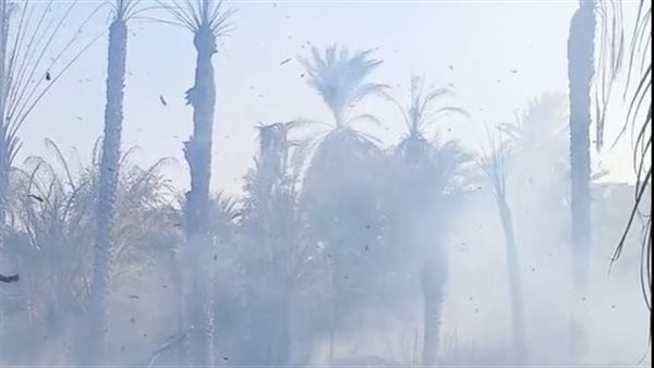 حريق - أرشيفية