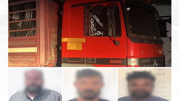 المصري المقبوض عليه