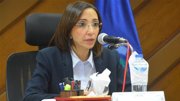 محافظ البحيرة 