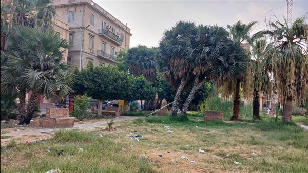 حديقة في السويس