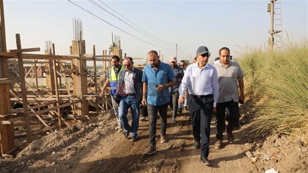 محافظ المنيا