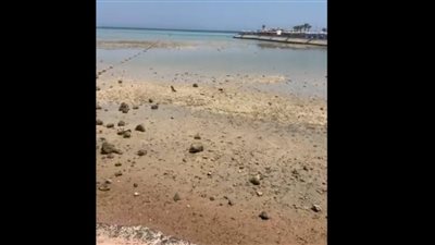 مصدر بالبيئة يرد على شائعات اختفاء بحر الغردقة
