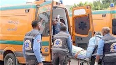 ضربوه بعصا خشبية.. مقتل شاب على يد والده وعمه بالغربية لسرقته مبلغا ماليا