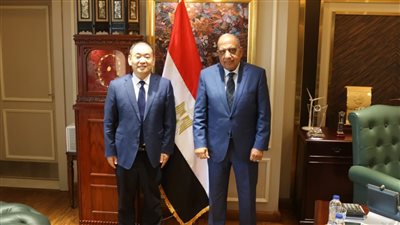 مصر تستعين بـ هواوي الصينية لمكافحة سرقة الكهرباء