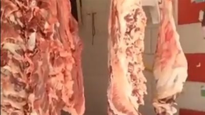 تخفيضات تصل لـ 50%.. الزراعة توفر السلع والمنتجات الغذائية عبر منافذها| بث مباشر 