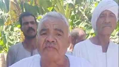 عقر المواشي.. أهالي قرية المراشدة بقنا يستغيثون من هجوم ذئب على عدد من المنازل| بث مباشر 