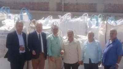 ضبط 250 طن ملح غير صالح للاستهلاك الآدمي في الشرقية