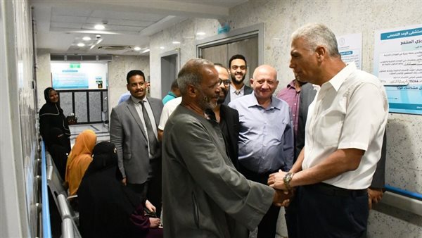 محافظ أسوان