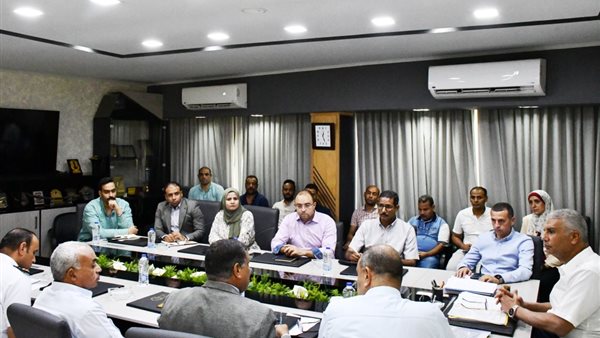 محافظ أسوان