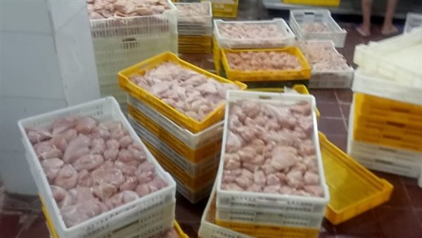 جانب من المضبوطات