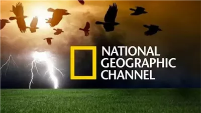 تردد قناة ناشيونال جيوغرافيك المفتوحة 2024 نايل سات وعرب سات