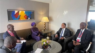 وزير الخارجية يلتقي مع نظيرته السنغالية على هامش مؤتمر التيكاد