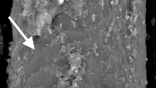  الشعر الطبيعي للمومياء