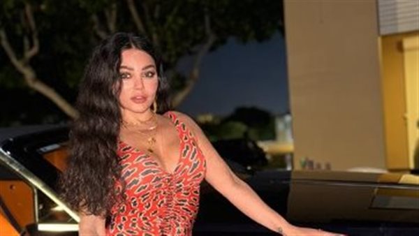 الفنانة هيفاء وهبي