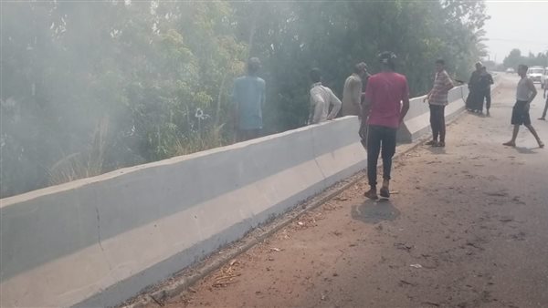 حريق في زراعات المانجا