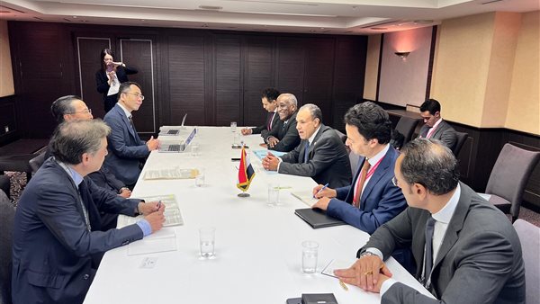 وزير الخارجية يلتقي