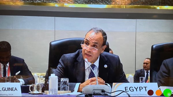 وزير الخارجية والهجرة