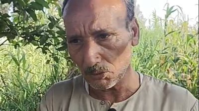 لنصب أفخاخ والتخلص منها.. أهالي قرية بالبحيرة يستعينون بصائد بعد مهاجمة الذئاب لأحد المزارعين| بث مباشر 