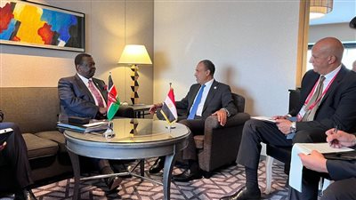 وزير الخارجية يلتقي نظيره الكيني على هامش الاجتماع الوزاري للتيكاد