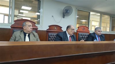 منه لله اللي كان السبب.. انهيار المتهمة بقتل زوجها بكفر الشيخ عقب إحالة أوراقها وعشيقها للمفتي