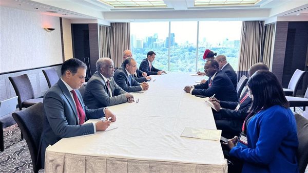 وزير الخارجية يلتقي