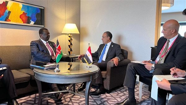 لقاء وزير الخارجية