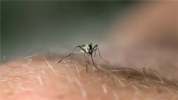  صورة تعبيرية 