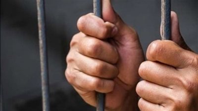 حبس 8 أشخاص لسرقتهم 3 ملايين جنيه من مزرعة دواجن بالبحيرة 