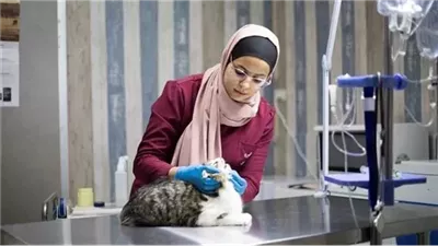  بالدرجات.. تنسيق طب بيطري 2024 المرحلة الثانية علمي علوم