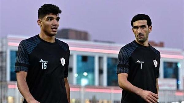 محمد صبحي وعواد